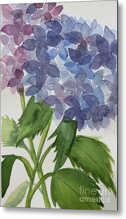 Hydrangeas Metal Print featuring the painting Two Hydrangeas by Lisa Neuman