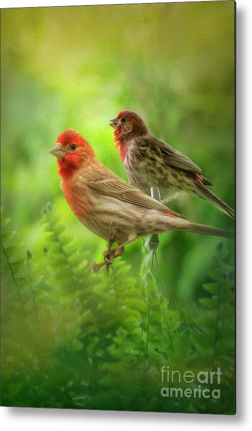 Bird Metal Print featuring the photograph Two Little Finches by Shelia Hunt