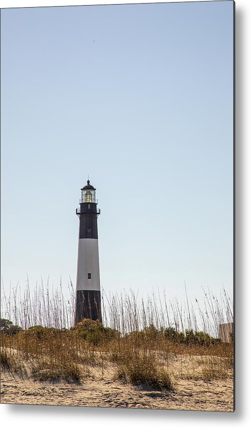 America Metal Print featuring the photograph Tybee Island Lighthouse on dunes by Karen Foley