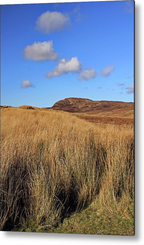 Landscape Metal Print featuring the photograph Under A Donegal Sky by Jennifer Robin