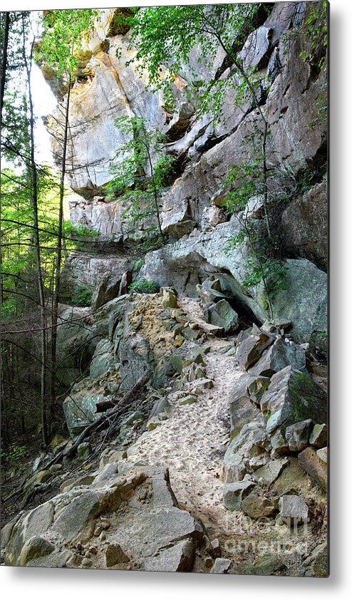 Pogue Creek Canyon Metal Print featuring the photograph Unnamed Rock Face 7 by Phil Perkins