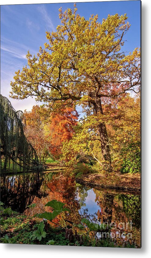 Fall Metal Print featuring the photograph Fall foliage and water reflections by Delphimages Photo Creations