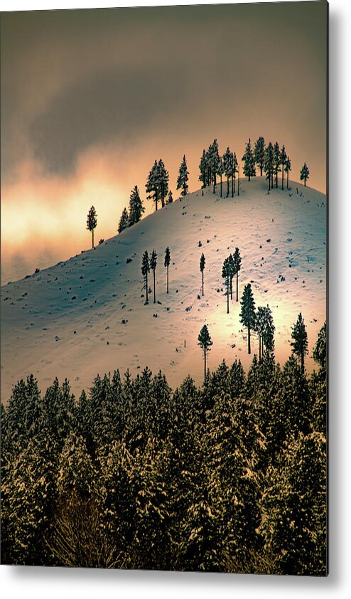 Winter Metal Print featuring the photograph Washoe Valley - Little Valley Fire 0301 by Janis Knight