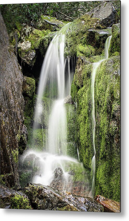 Waterfall Metal Print featuring the photograph Waterfall and Moss by Gary Geddes