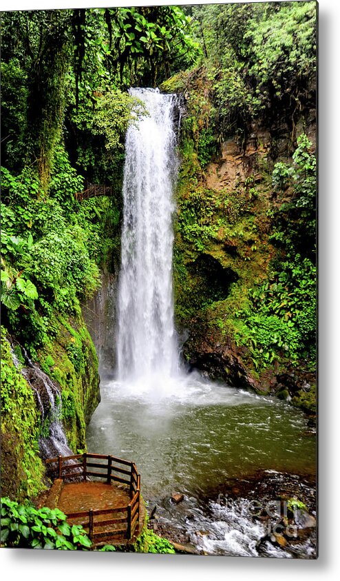 Waterfall Metal Print featuring the photograph Waterfall in the jungle of Costa Rica by Gunther Allen