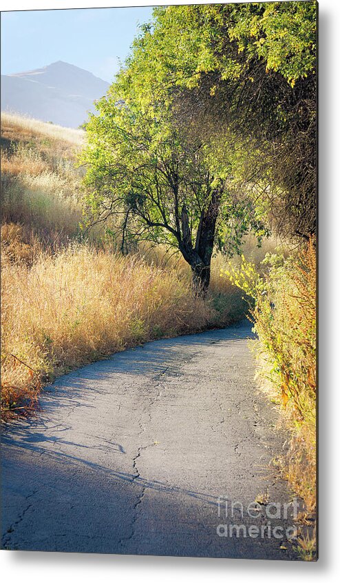 Path Metal Print featuring the photograph We will walk this path together by Ellen Cotton