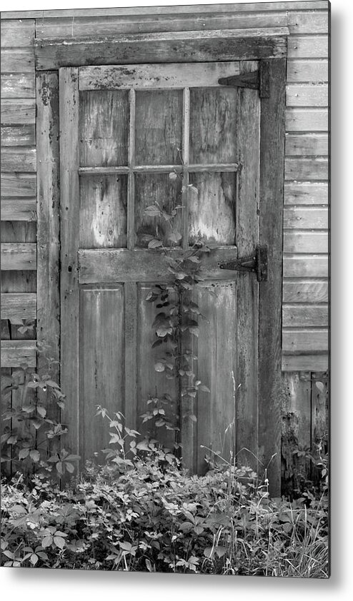 Black And White Barn Metal Print featuring the photograph Weathered Wood Barn Door with Vine by David Letts