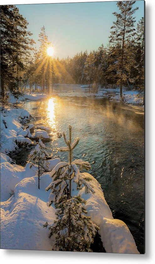 Landscape Metal Print featuring the photograph When the light hits by Rose-Marie Karlsen