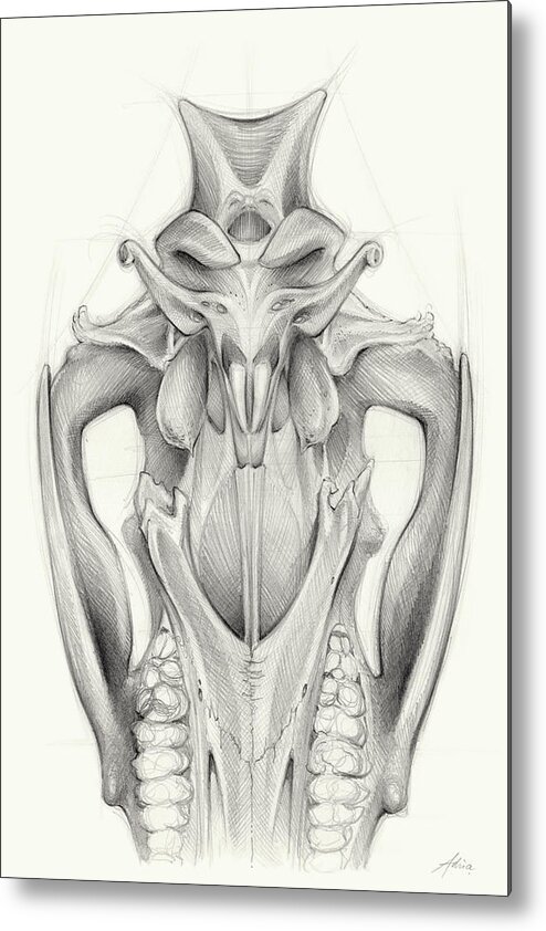 Wild Boar Metal Print featuring the drawing Wild boar skull and the cycle of life 2 by Adriana Mueller