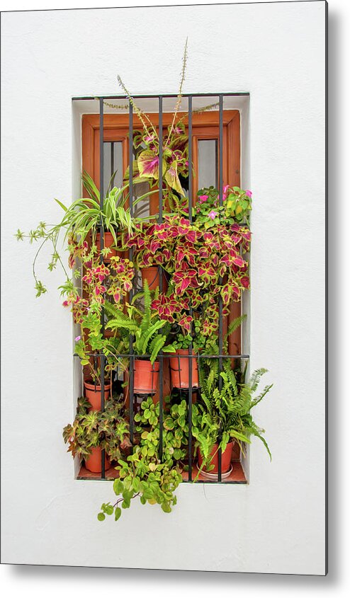 Spain Metal Print featuring the digital art Window plants painted photo by Naomi Maya