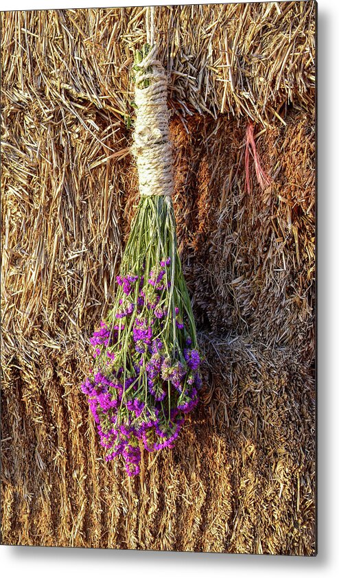 Valle De Guadalupe Metal Print featuring the photograph Wine Country Bouquet by William Scott Koenig