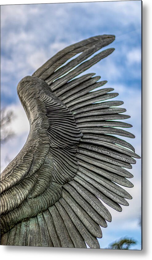 Angel Metal Print featuring the photograph Wing by Rick Nelson