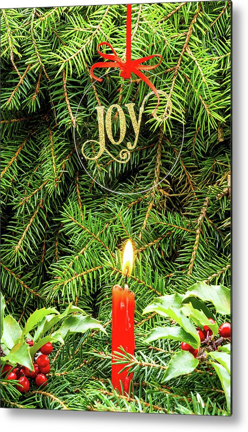 Winter Metal Print featuring the photograph Winter Holiday Joy 2U by Paul Giglia