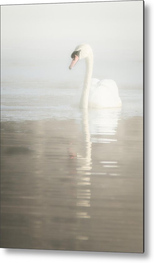 Swan Metal Print featuring the photograph Winter Swan by Linda Bonaccorsi