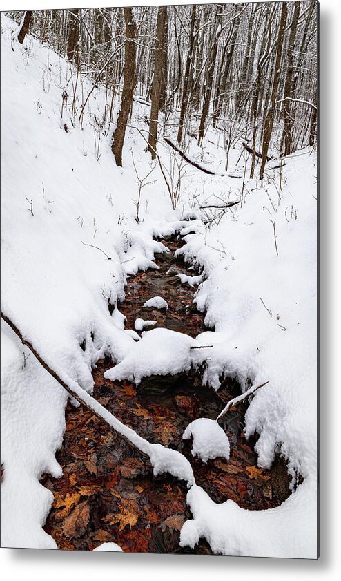 Creek Metal Print featuring the photograph Winter Transformations by Lara Ellis
