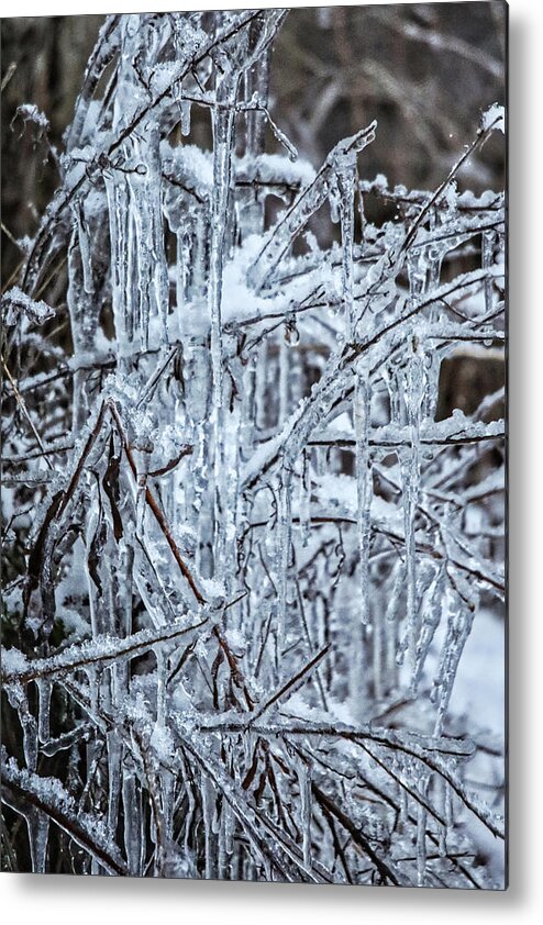 Ice Metal Print featuring the photograph Winter's Ice Chandelier by Scott Burd