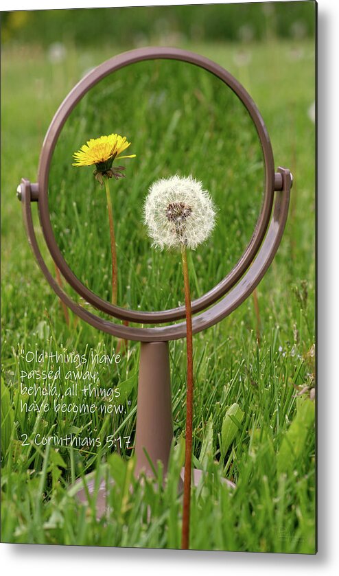 Dandelion Metal Print featuring the photograph With Sympathy- 2 Corinthians by Peter Herman