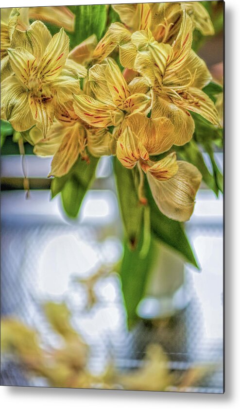 Yellow Flowers Metal Print featuring the photograph Yellow Flowers by Cordia Murphy