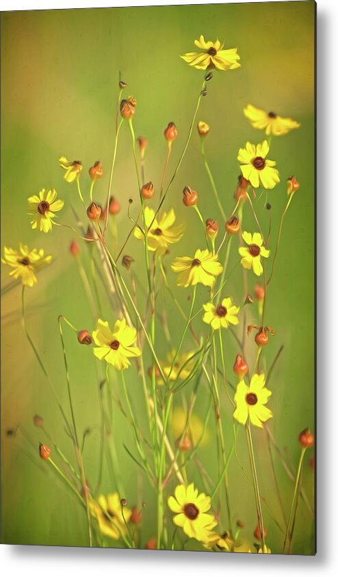 Flower Metal Print featuring the photograph Yellow Wild Flowers by Steve DaPonte