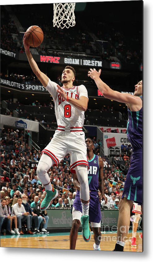 Chicago Bulls Metal Print featuring the photograph Zach Lavine by Kent Smith