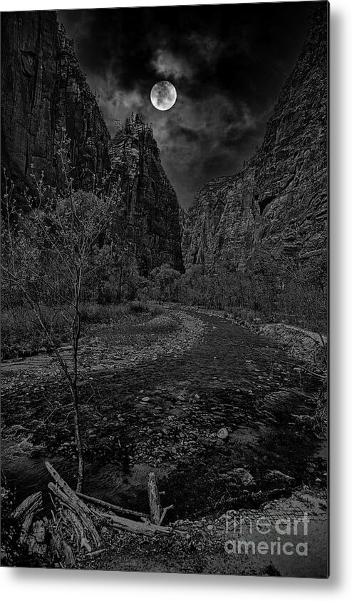 Zion National Park Metal Print featuring the photograph Zion National Park Moon Glow Black White Utah USA by Chuck Kuhn