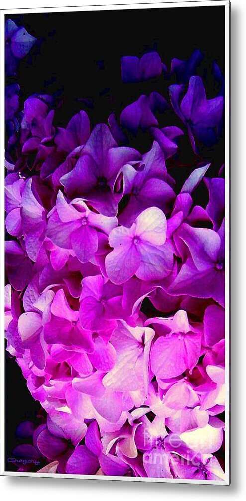 Photograph Metal Print featuring the photograph Pink by Greg Moores