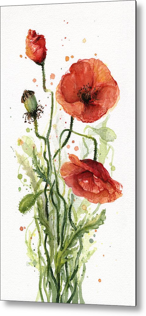 Red Poppy Metal Print featuring the painting Red Poppies Watercolor by Olga Shvartsur