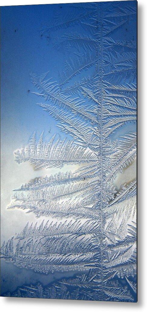 Ice Metal Print featuring the photograph Ice Tree by Rhonda Barrett