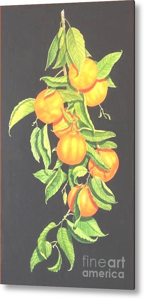 Realism Still Life Mandarine Oranges Watercolor Metal Print featuring the painting Lemon Mandarine Suite by Janet Summers-Tembeli