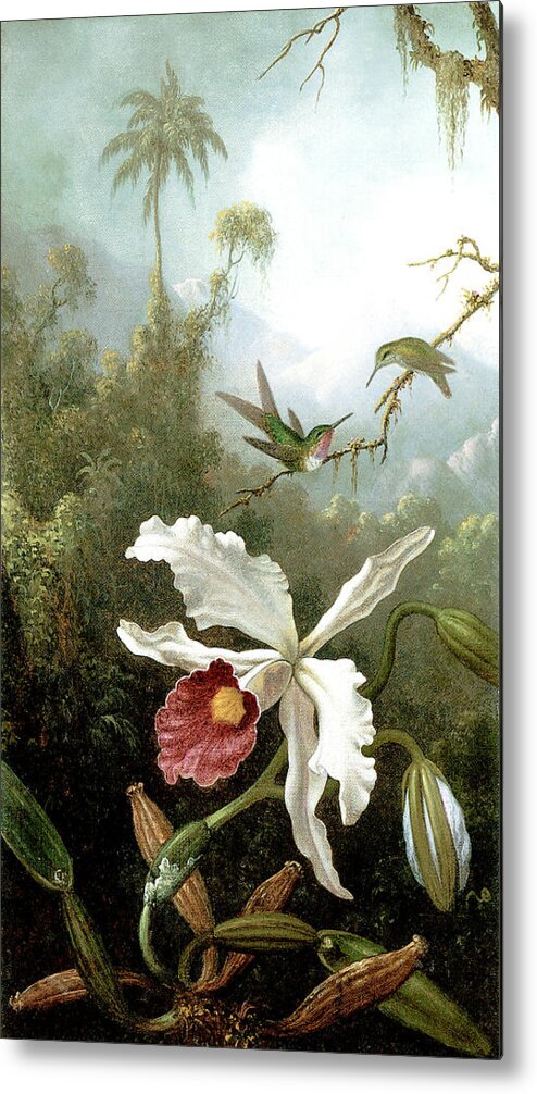 Masters Metal Print featuring the painting Retouched Masters - Orchid and Hummingbirds in tropical forest by Audrey Jeanne Roberts