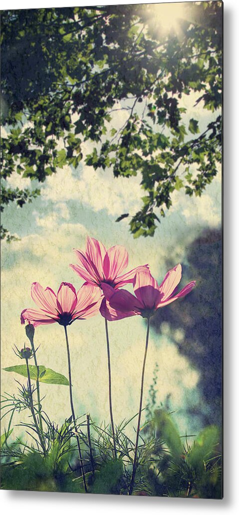 Grass Metal Print featuring the photograph French Wild Flowers by Kelly Sillaste
