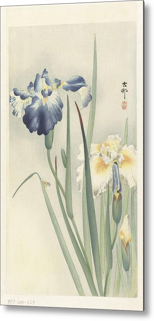 Flower Metal Print featuring the painting Irissen, Ohara Koson, 1900 - 1936 b by Ohara Koson