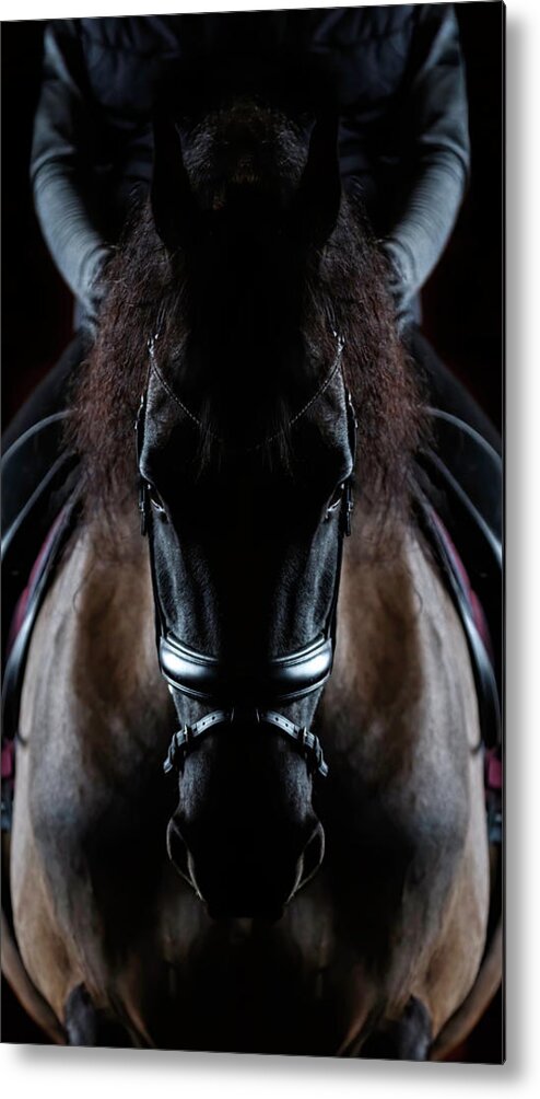Friesian Symmetry Metal Print featuring the photograph Friesian Symmetry by Wes and Dotty Weber