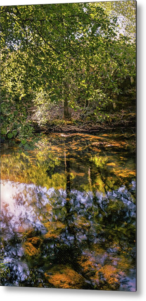 Tree Metal Print featuring the photograph Textured tree in the pond by Micah Offman