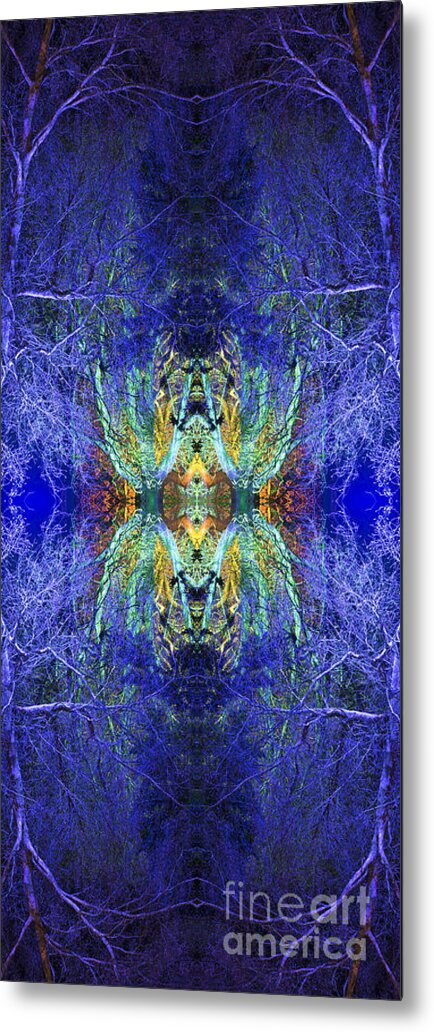 Celestial Beings Metal Print featuring the photograph Fereshteh by Tim Gainey