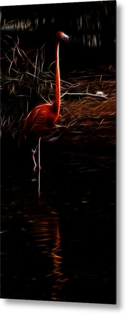 Fire Flamingo Metal Print featuring the photograph Fire Flamingo by Weston Westmoreland