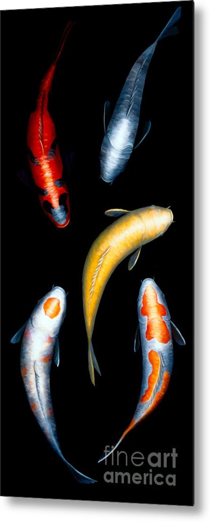Koi Metal Print featuring the painting Koi V by Victoria Page