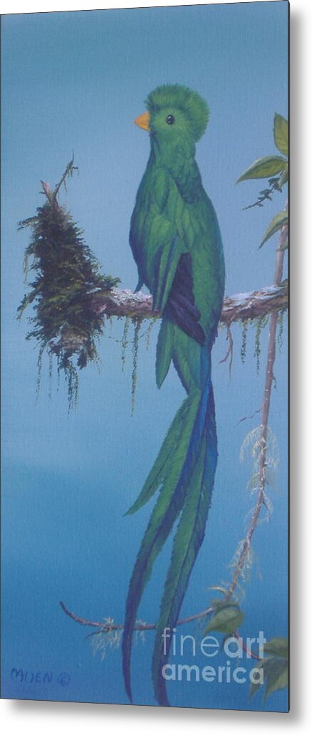 Birds Metal Print featuring the painting Quetzal by Michael Allen