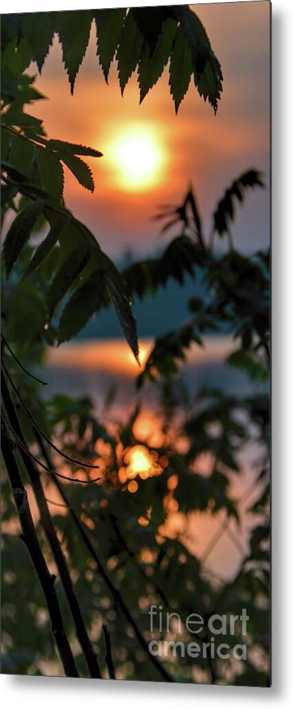 Sumac Metal Print featuring the photograph Sumac Sunrise at the Lake by Henry Kowalski
