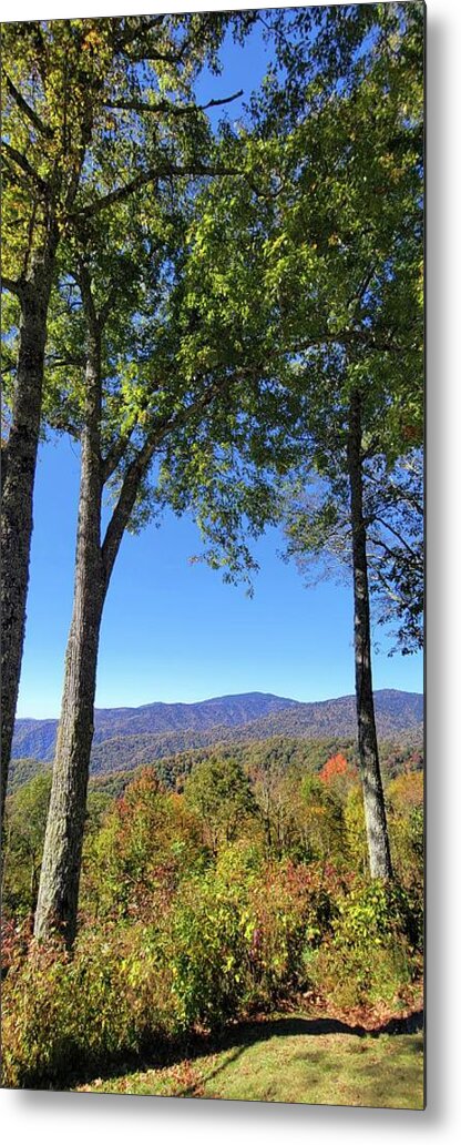 Mountain Metal Print featuring the photograph Clingman's Dome in the Distance by Ally White