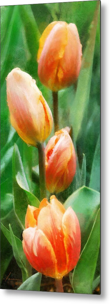 Tulips Spring Flower Bloom Bulb Bud Blooming Blossom Garden Bed Metal Print featuring the digital art Tulip Quartet by Frances Miller