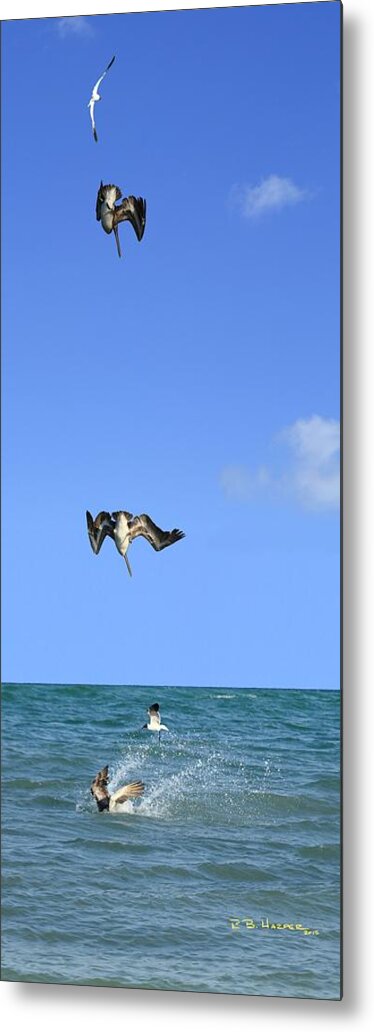 Pelican Metal Print featuring the photograph Fishing with Friend #2 by R B Harper