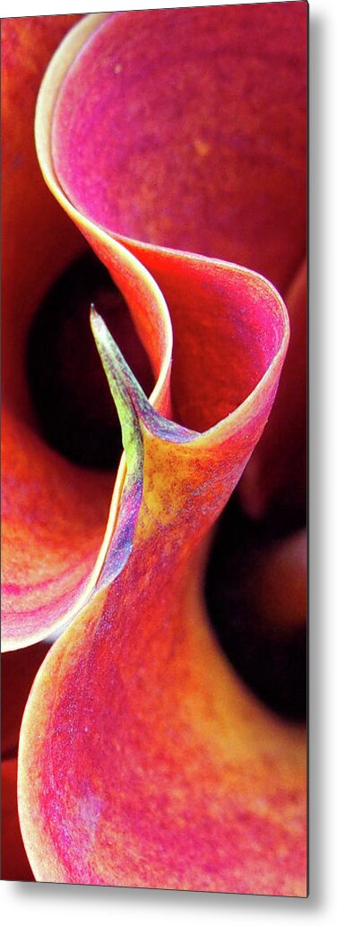 Flower Metal Print featuring the photograph Sensual Nature #2 by Claudio Bacinello