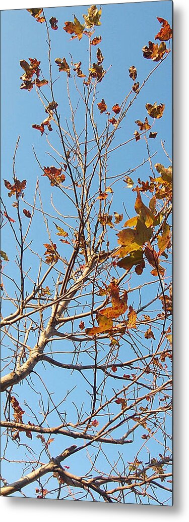 Autumn Metal Print featuring the photograph Fly Away by HweeYen Ong