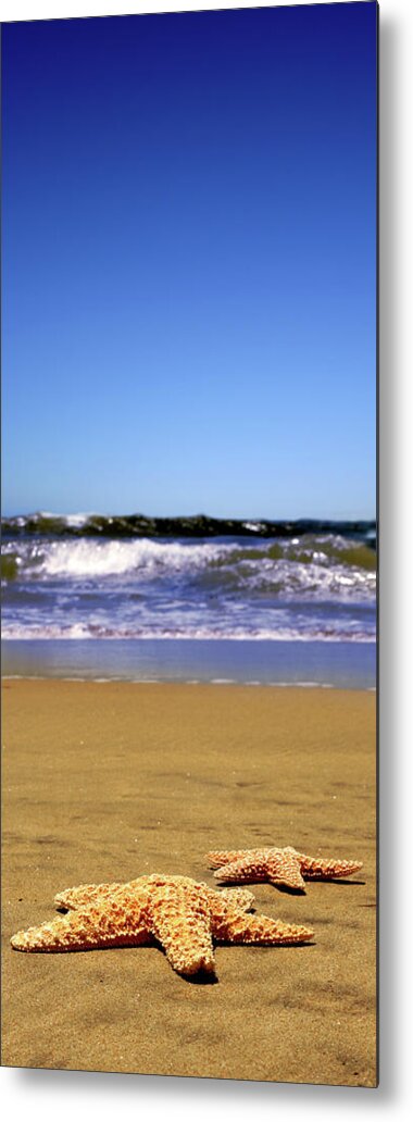 Water's Edge Metal Print featuring the photograph Starfish Beach by Lpettet
