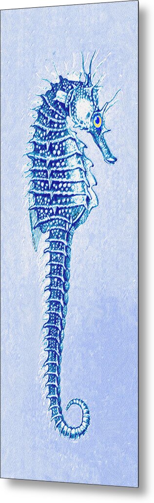 Jane Schnetlage Seahorse Metal Print featuring the digital art Aqua Seahorse- Right Facing by Jane Schnetlage