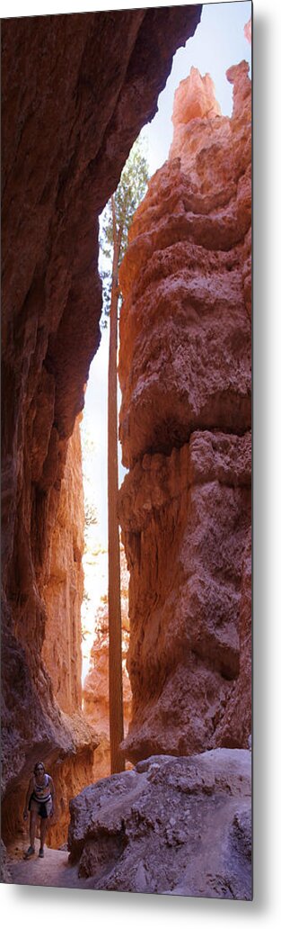 Bryce Canyon Metal Print featuring the photograph Bryce Canyon from the Bottom Panoramic by Mike McGlothlen