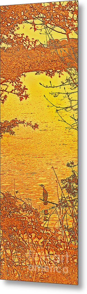 Bird Metal Print featuring the photograph Fishing Cormorant by Linsey Williams