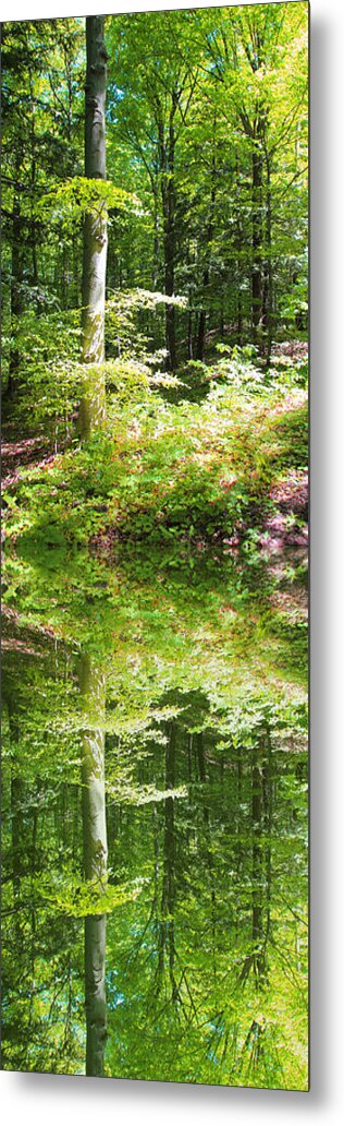 Forest Metal Print featuring the photograph Forest reflections by John Stuart Webbstock