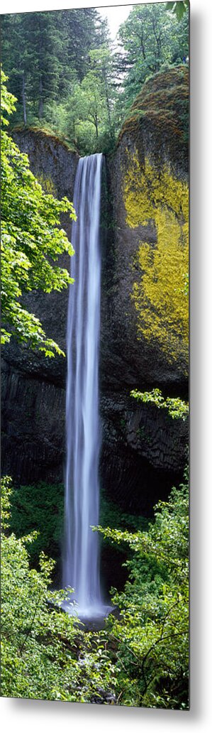 Photography Metal Print featuring the photograph Waterfall In A Forest, Latourell Falls by Panoramic Images